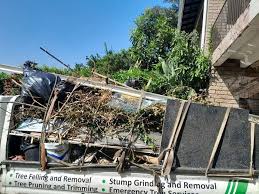 Best Estate Cleanout  in Highland Heights, KY